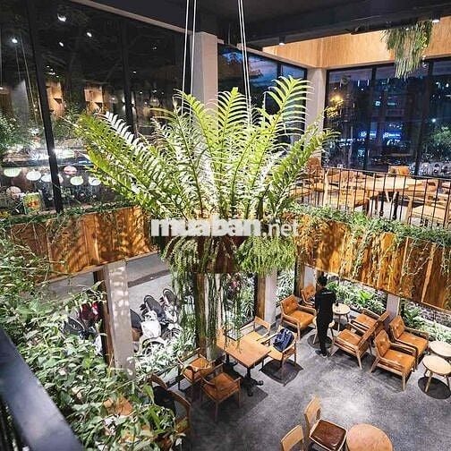 MẶT TIỀN LỚN PHƯỜNG 4 NGAY SÂN BAY NGANG KHỦNG 19M x 25m SD 475M2