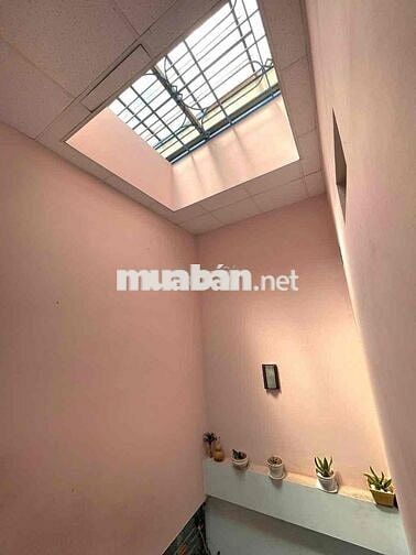 - SÁT MTKD ĐỈNH - VƯỜN LÀI - HXT 10M