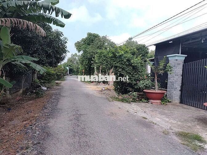 ĐẤT THỔ CƯ GIÁ NHANH 572tr NGAY KHU DÂN CƯ ĐÔNG