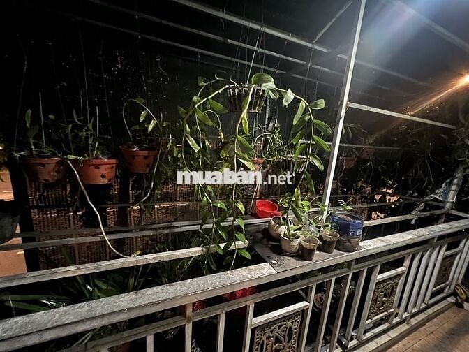 Nhà mặt tiền, có sân, 1 lầu, 2 PN, có nội thất sẵn (Long Thới, Nhà Bè)