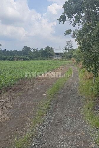 Bán 1.000m2 đất Xã Xuân Bảo 1 tỷ 4
