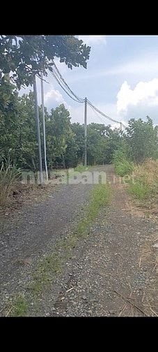 Bán 1.000m2 đất Xã Xuân Bảo 1 tỷ 4