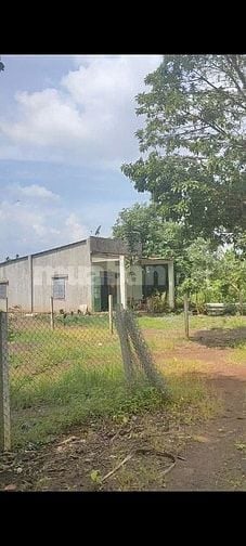 Bán 1.000m2 đất Xã Xuân Bảo 1 tỷ 4