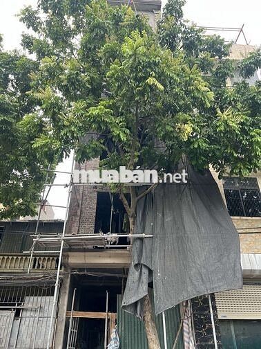 Nhà mặt tiền, xã Ngọc Hồi,50m2, 7 tầng Thang máy, 8 phòng ngủ rộng