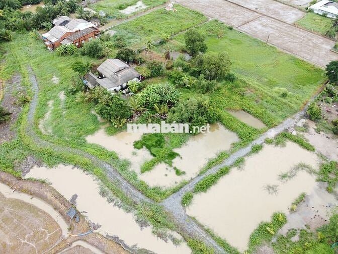 Chính chủ cần bán đất Long An - Tây Ninh