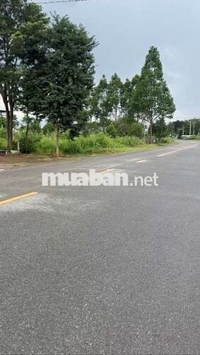 Bán dãy kiot đang có sẵn thu nhập diện tích 20x57 sẵn 100m thổ cư