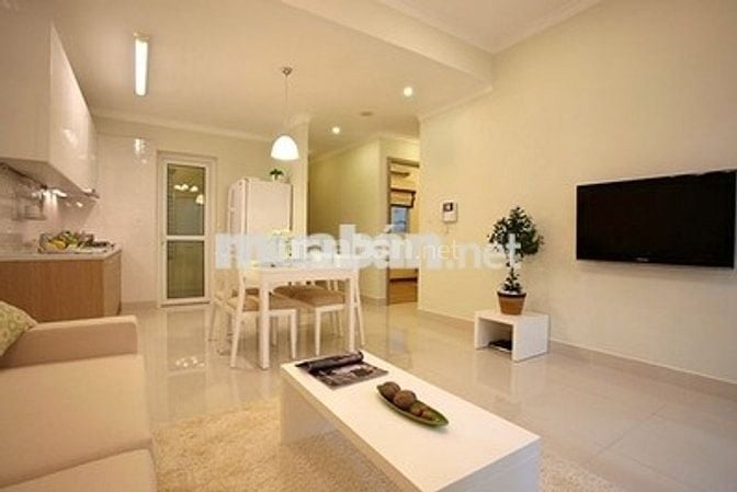 Cần cho thuê căn hộ chung cư Tân Phước Plaza, 1PN đầy đủ nội thất