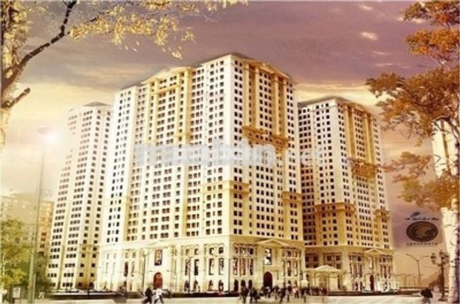 Cần cho thuê căn hộ chung cư Tân Phước Plaza, 1PN đầy đủ nội thất