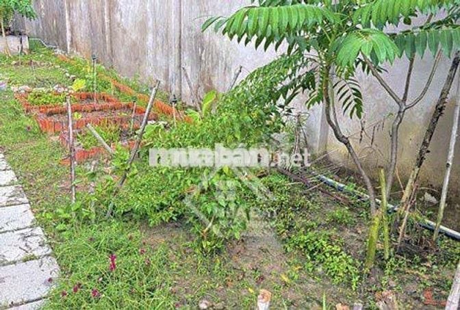 NHÀ VƯỜN SỔ SẴN – 6x34M, VƯỜN CÂY ĂN TRÁI, ĐƯỜNG NHỰA, DÂN CƯ HIỆN HỮU