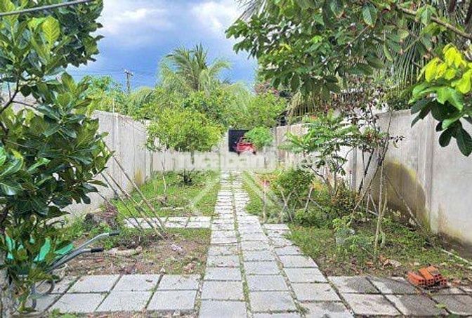NHÀ VƯỜN SỔ SẴN – 6x34M, VƯỜN CÂY ĂN TRÁI, ĐƯỜNG NHỰA, DÂN CƯ HIỆN HỮU