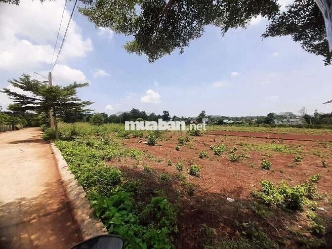 Đất đẹp KDC sinh thái Him Lam - Ninh Hoa TL8