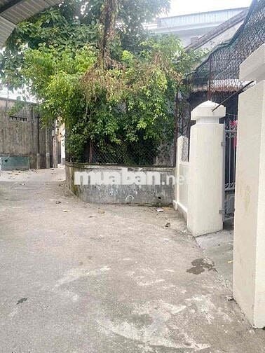 BÁN ĐẤT TẶNG DÃY TRỌ 6 PHÒNG ĐƯỜNG ĐẶNG HUY TRỨ PHƯỚC VĨNH TP HUẾ