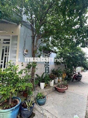 🧧Nhà bán 2 MT KDC Nam Hùng Vương- An lạc- quận bình T
