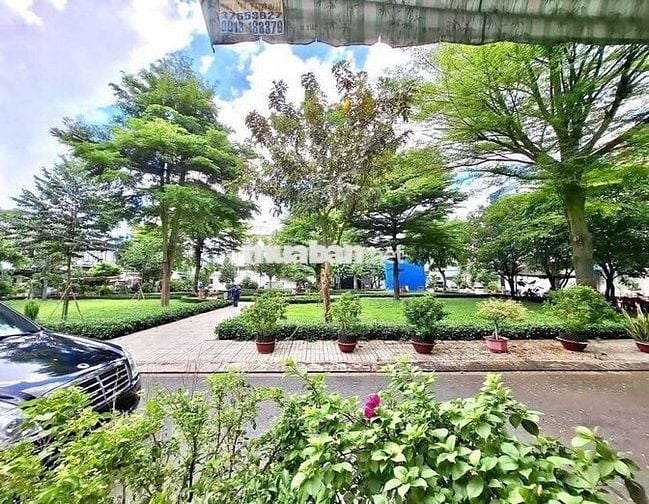 Bán gấp biệt thự phố khu dân cư bông sao p5 q8