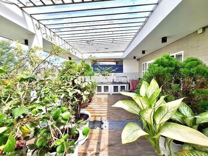 Bán gấp biệt thự phố khu dân cư bông sao p5 q8