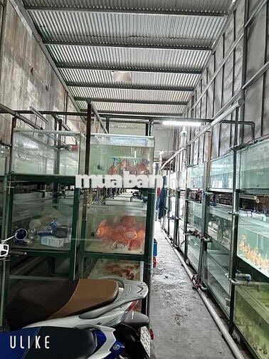 BÁN NHÀ MẶT TIỀN HẺM LỚN 8M, DT : 4,1 X 29M, LÊ ĐỨC THỌ, GÒ VẤP