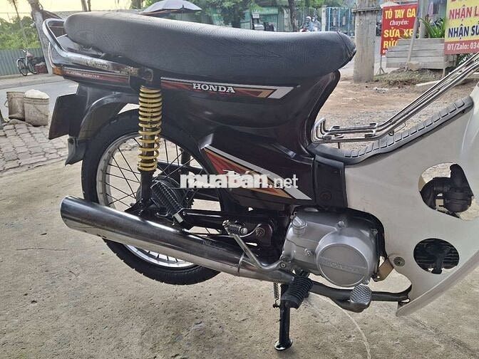 DIM Hàn quốc . Bstp . Cà vẹt đầy đủ .