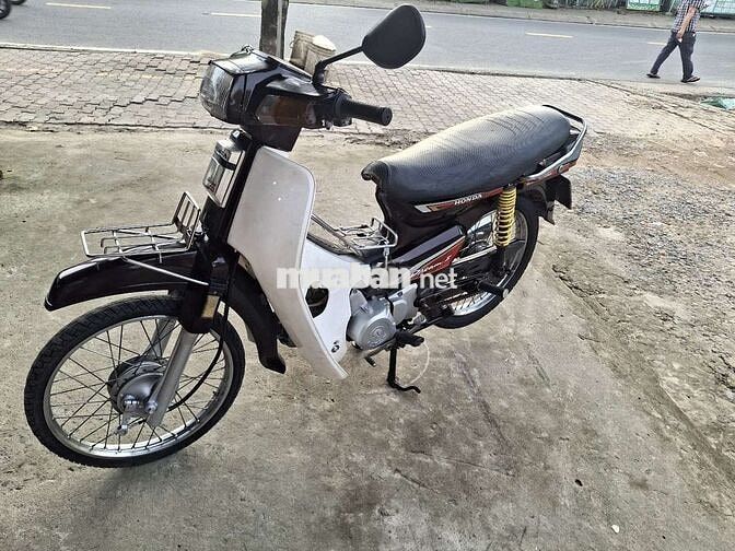 DIM Hàn quốc . Bstp . Cà vẹt đầy đủ .