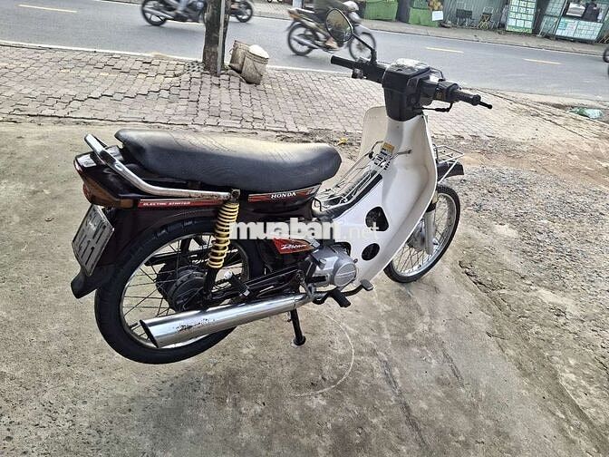 DIM Hàn quốc . Bstp . Cà vẹt đầy đủ .
