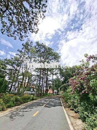 🏡 VILLA 2 MẶT TIỀN CUNG ĐƯỜNG YÊN THẾ VIEW ĐẸP BẬC NHẤT ĐÀ LẠT