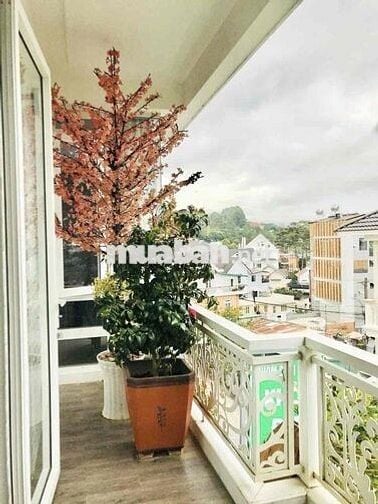 🏡 VILLA 2 MẶT TIỀN CUNG ĐƯỜNG YÊN THẾ VIEW ĐẸP BẬC NHẤT ĐÀ LẠT