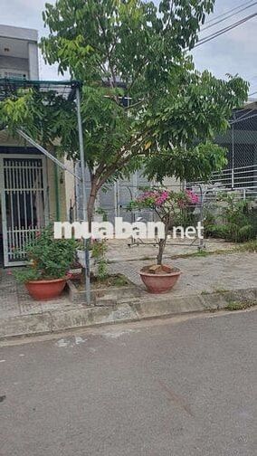 Anh Ruột Nhờ Đăng Giúp , Giá Trên còn thương lượng