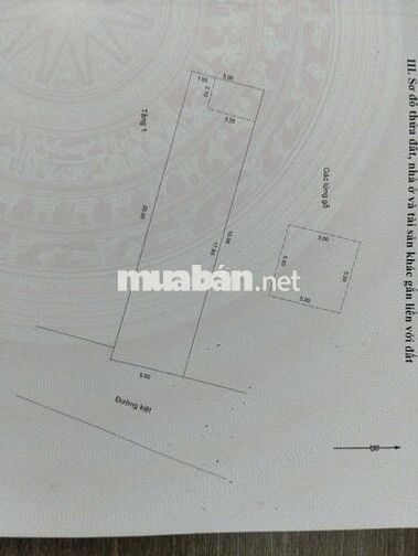 🏖️ Nhà kiệt oto vào tận cửa  – Gần đại học Sư Phạm – Giá cực hời!