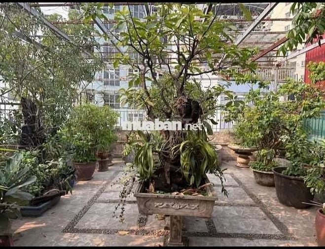Tôi cần bán nhà Nguyễn Hữu Thọ 9tầng full nội thất.