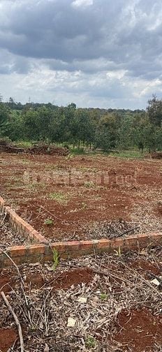 Mua bán đất Sônng Xoài Bà Rịa Vũng Tàu