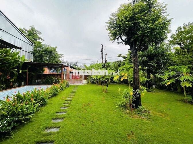 🌴 BIỆT THỰ GÓC SÁT BIỂN NGUYỄN TẤT THÀNH–KHÔNG GIAN NGHỈ DƯỠNG