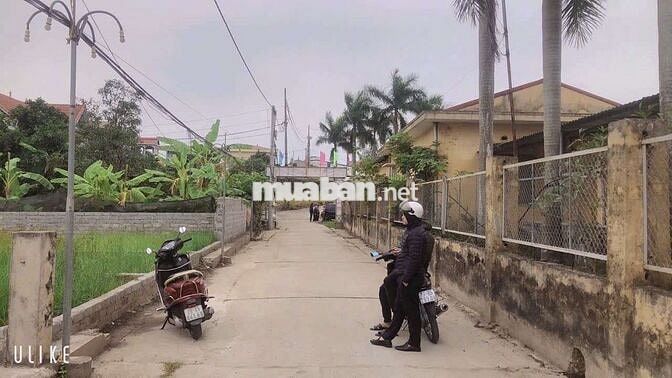 🚀 SIÊU ĐẸP Đường Rộng Ô TÔ Chánh 

🏘️Hồng Vân - Thường Tín - Hà Nội