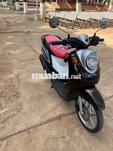 CHXM 28 bán Yamaha classico
