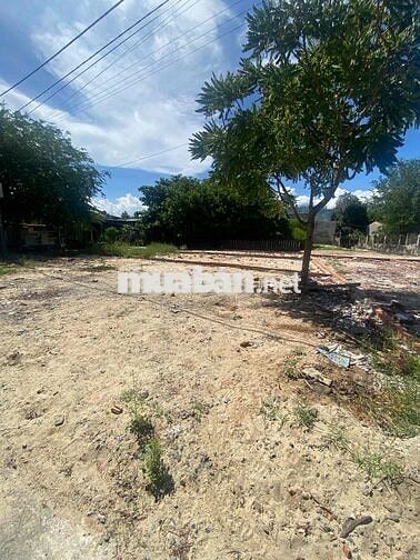 BÁN ĐẤT CHÍNH CHỦ, DT 81,2m2, NGANG 8m5 TẠI KIỆT NGÔ XUÂN THU