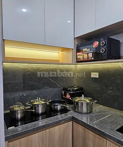 Cho thuê nhà nguyên căn tại Vương Thừa Vũ