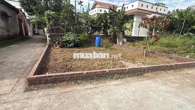 Bán lô góc diện tích 44m2 oto tải vào đất