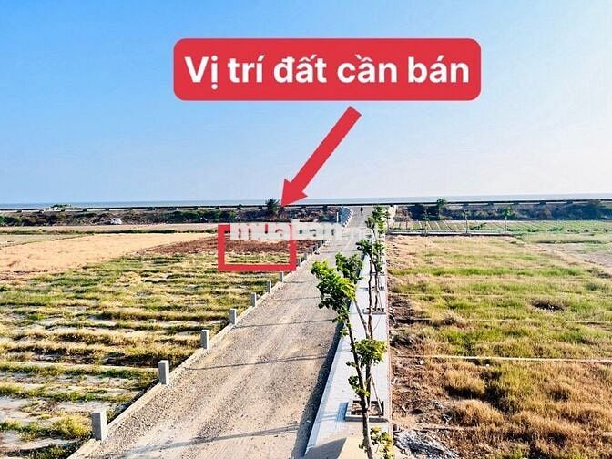 Cần bán lô đất sổ đỏ full thổ cư 100m2 mặt biển