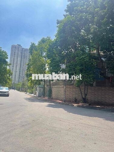 Biệt thự cầu bươu lô góc 370m mt36m 4t Thô,hàng xóm toàn xây lâu đài,