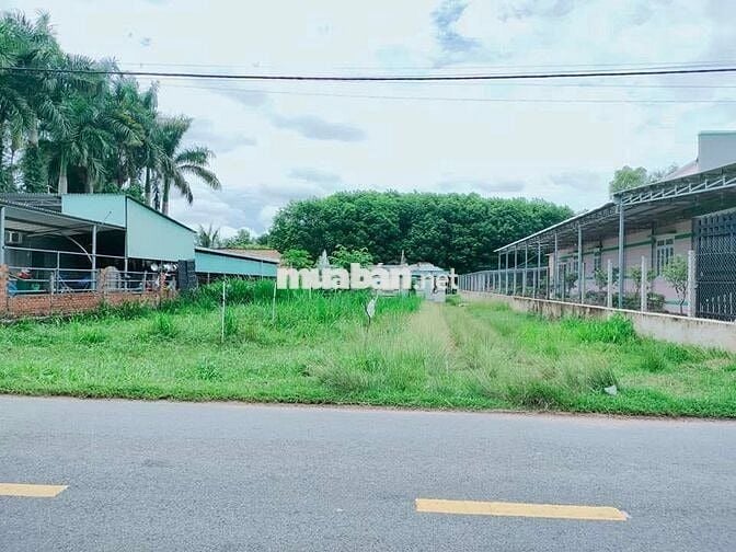 BÁN GẤP  LÔ 119m2 ĐẤT GIÁ 1,6 TỶ Đ.NGUYỄN ẢNH THỦ GẦN KCN VĨNH LỘC SHR
