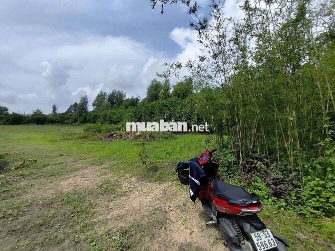 LÔ ĐẤT NỀN VUÔNG VỨC, 2153M2, ĐƯỜNG XE TẢI 6M, TIỆN XÂY XƯỞNG, PHÂN LÔ