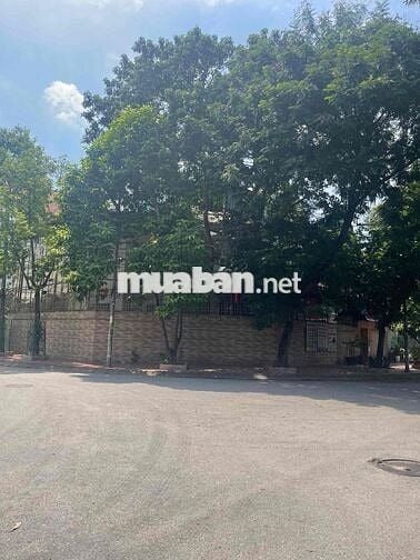 Biệt thự cầu bươu lô góc 370m mt36m 4t Thô,hàng xóm toàn xây lâu đài,