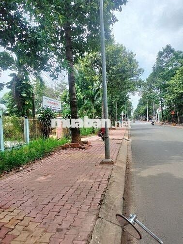 CHỦ NGỘP BÁN LÔ ĐẤT TC 5x35 MẶT TIỀN PHAN ĐĂNG LƯU - SỞ HỮU ĐƯỜNG Ô TÔ