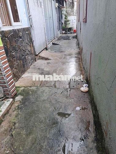 💰💰💰 TRỆT LẦU(4❌13m, nở hậu 8m): 5PN, 3WC, Giá chỉ 9Triệu