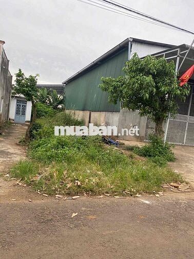 Đất Nguyễn Cảnh Di, cách QL200m