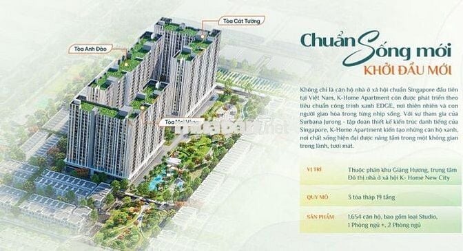 CĂN HỘ 1PN 46m2 999 TRIỆU – TÒA MAI VÀNG | DỰ ÁN K-HOME
