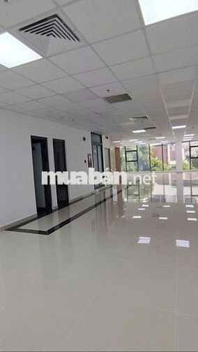 CHO THUÊ TOÀ NHÀ VĂN PHÒNG 3-5 HÁT GIANG QUẬN TÂN BÌNH