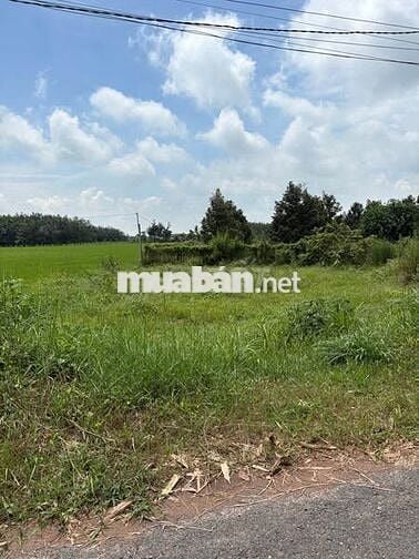 BÁN GẤP 133m2 ĐẤT THỔ NGAY THỊ XÃ TRẢNG BÀNG