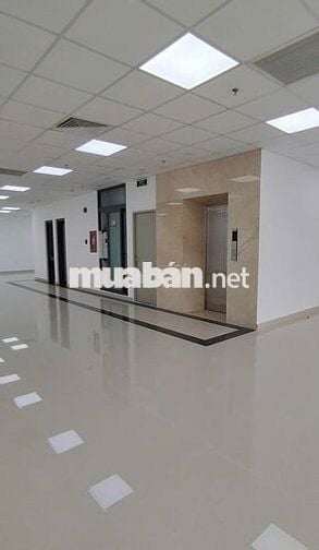 CHO THUÊ TOÀ NHÀ VĂN PHÒNG 3-5 HÁT GIANG QUẬN TÂN BÌNH