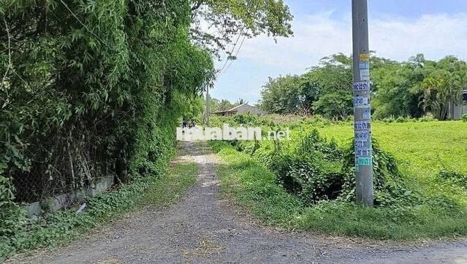 CCG CẦN BÁN NHANH ĐẤT VƯỜN MẶT TIỀN ĐẸP 536m2