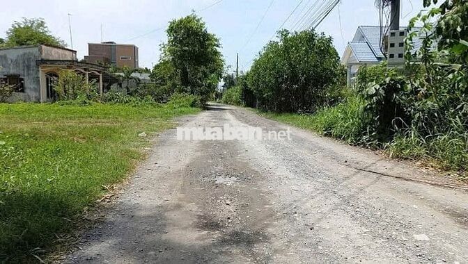 CCG CẦN BÁN NHANH ĐẤT VƯỜN MẶT TIỀN ĐẸP 536m2