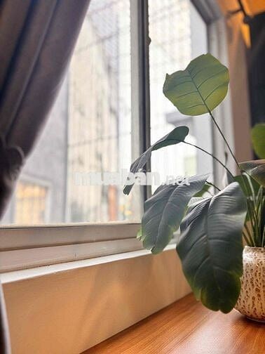 Căn Hộ Cao Cấp 1Pn cửa sổ trời, Full nội thất, máy giặt riêng